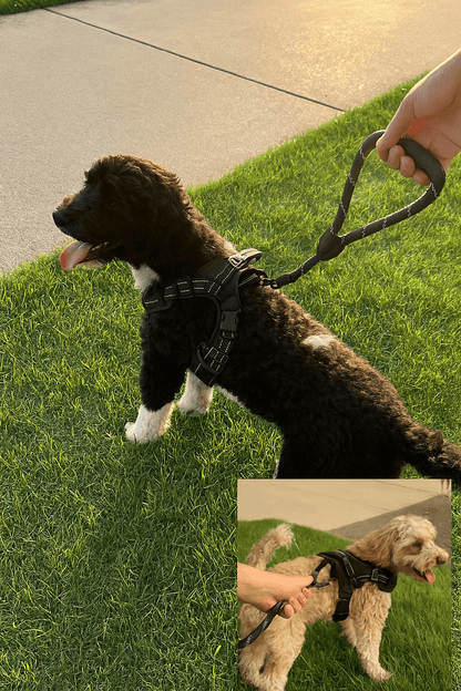 HushPaws™ Reflective Dog Harness